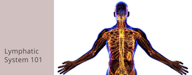 Why Am I Swelling? Understanding Our Lymphatic System and How It Works - Solidea U.S.